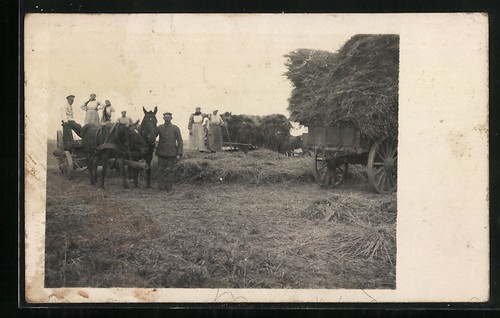 Cartolina fotografica - , i