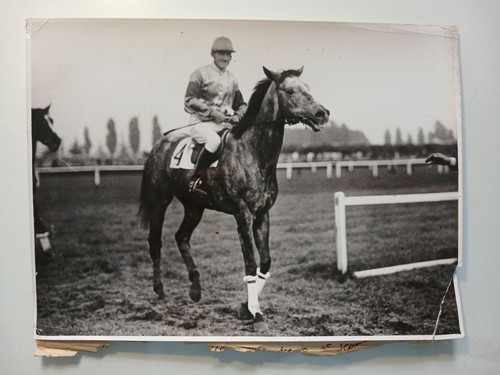 Foto epoca fantino cavallo 4 - epoca,